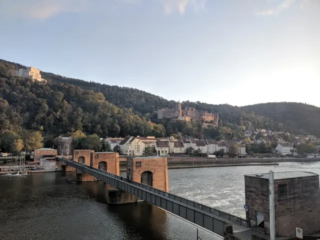 Ausblick vom Seniorbalkon auf Schloss und Neckar